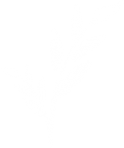 logo leaf W